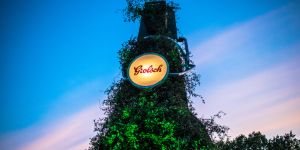 Bierbrouwer Grolsch halveert haar CO2 emissies